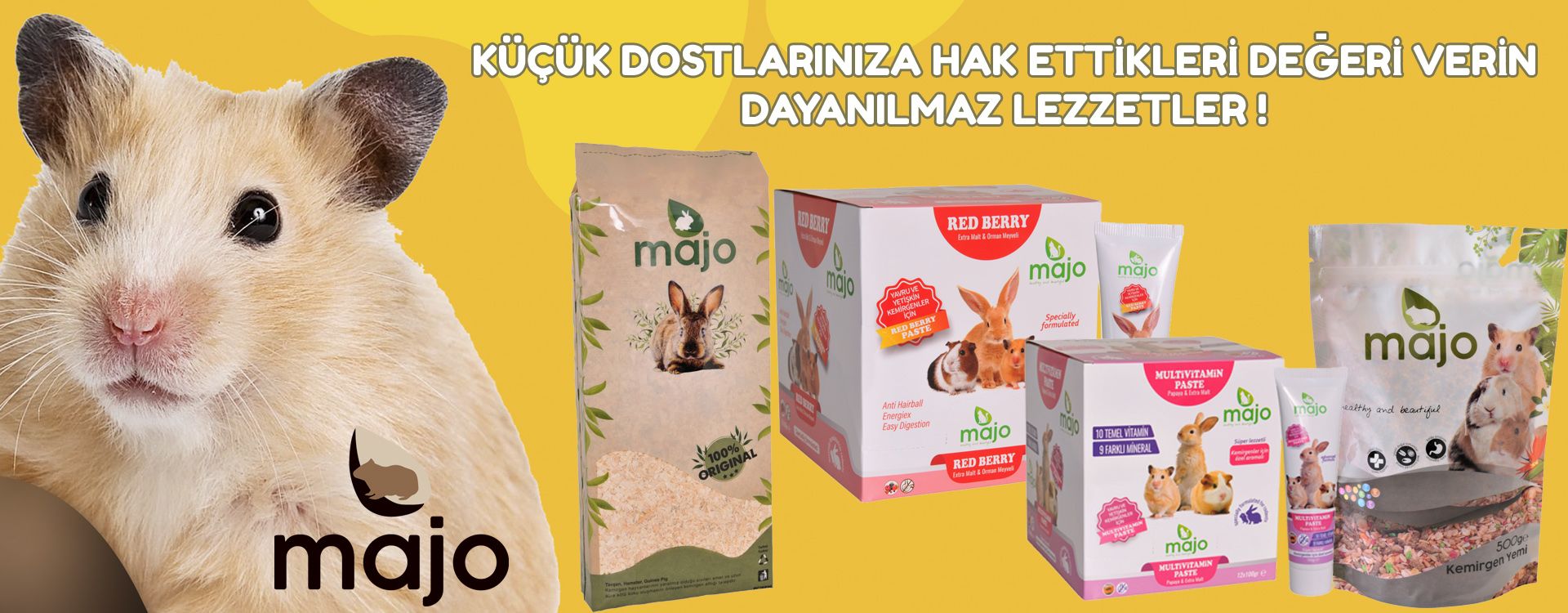 KEMİRGENLER