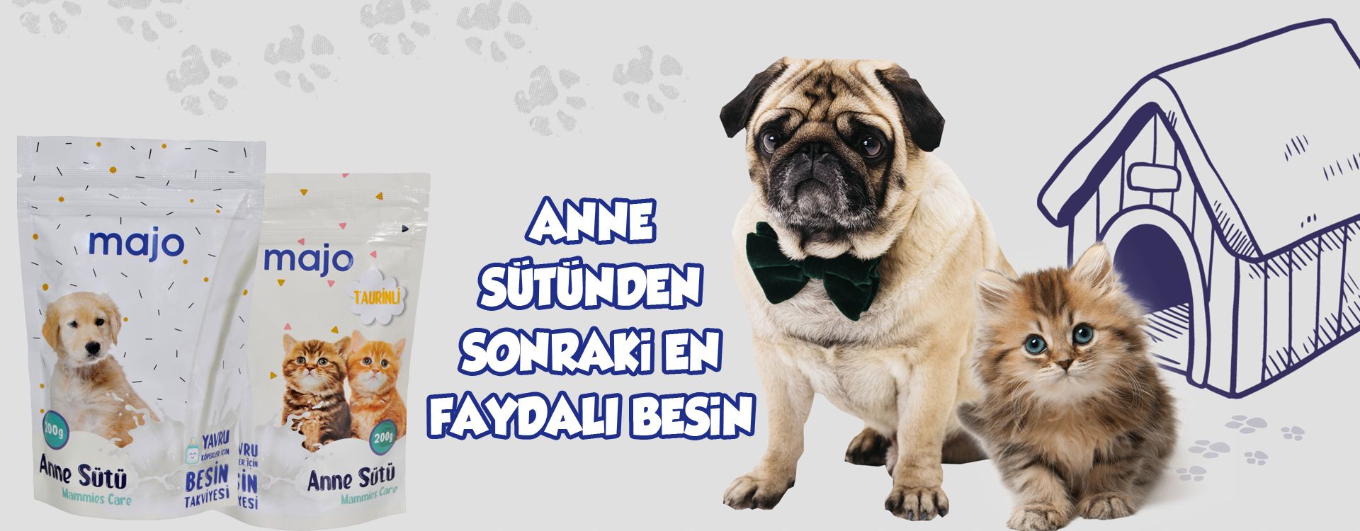 Kedi Çorbaları