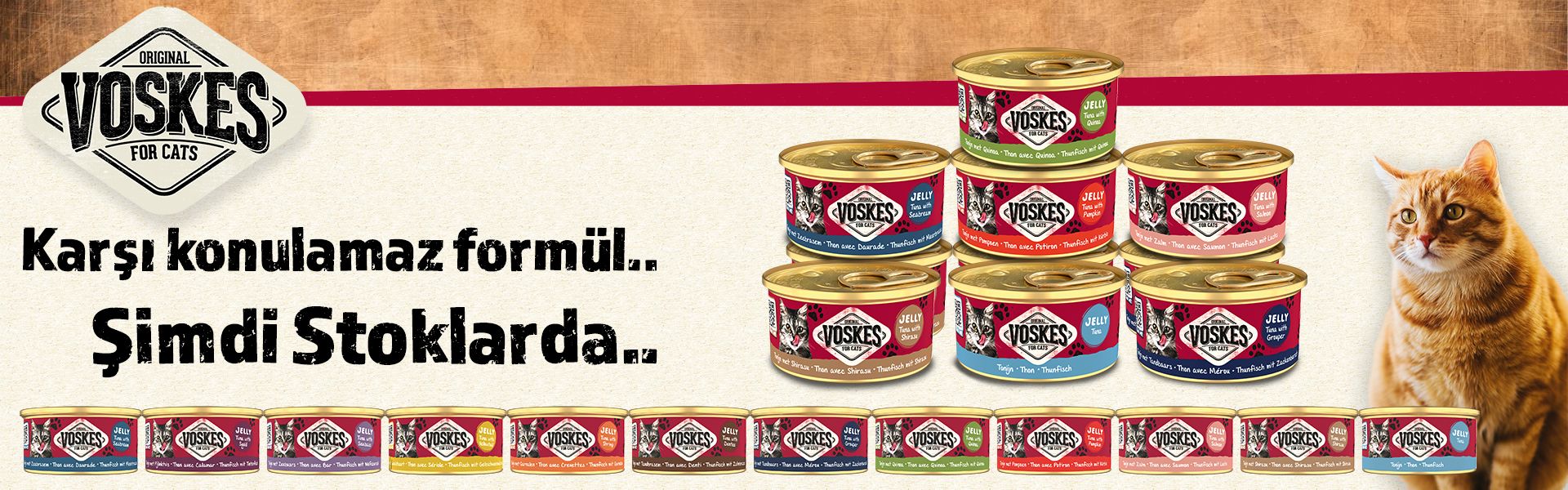 Kedi Konserve