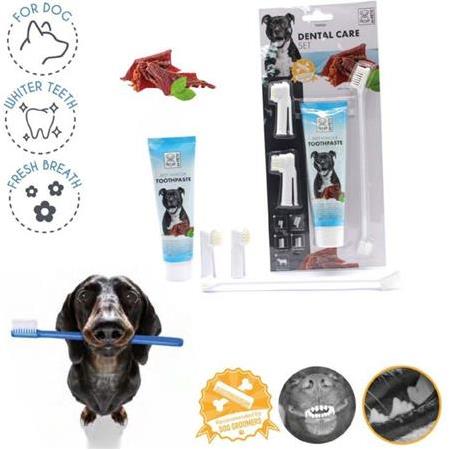 M-PETS KÖPEKLER İÇİN BİFTEKLİ DİŞ MACUNU+FIRÇA SETİ