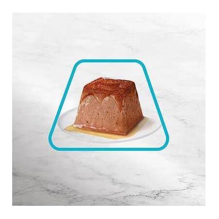 Gourmet Revelations Ton Balıklı Kedi Yaş Maması 2 x 57 Gr - 114 Gr