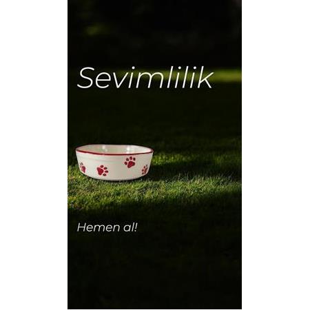 Majo Seramik Yuvarlak Mama Kabı